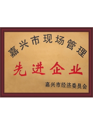 嘉興市現(xiàn)場(chǎng)管理先進(jìn)企業(yè)