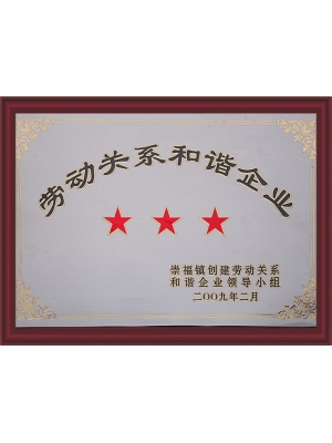 勞動(dòng)關(guān)系和諧企業(yè)