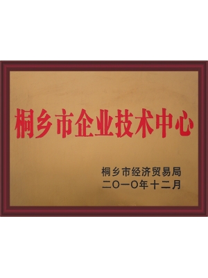 桐鄉(xiāng)市企業(yè)技術(shù)中心